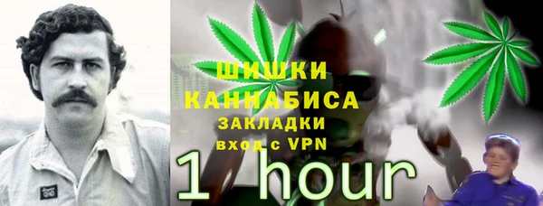spice Армянск