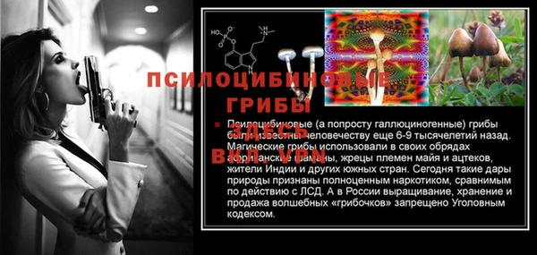 spice Армянск