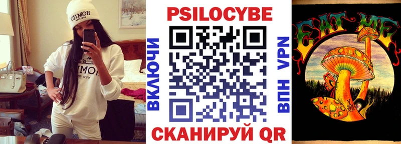 Псилоцибиновые грибы Psilocybe  Дыгулыбгей 
